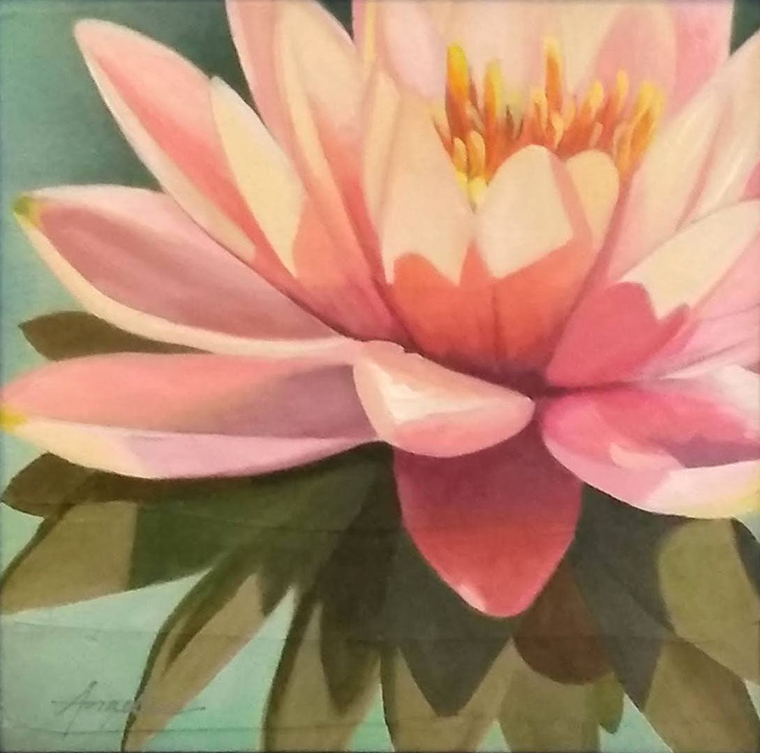 "Water Lily II Peach" 8" x 8"